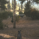 Image for article titled Kotaku Reacts To Far Cry 5